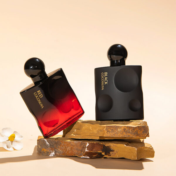 Temptation Perfume Lasts Long, Niche Perfume - Image 7